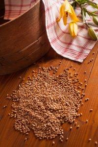 Csíramálé készítése - kép 1