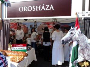 Nemzeti vágta - kép 2